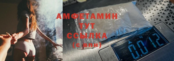 индика Михайлов