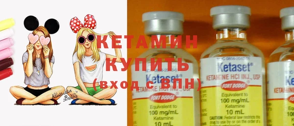 шишки Надым