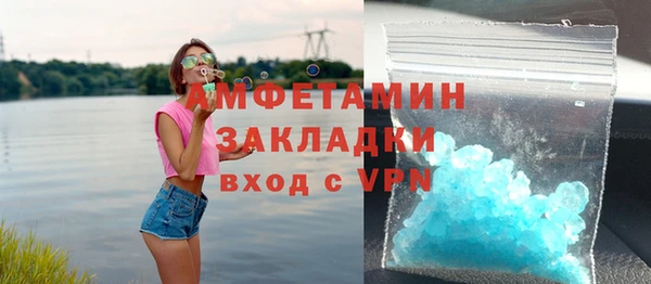 шишки Надым
