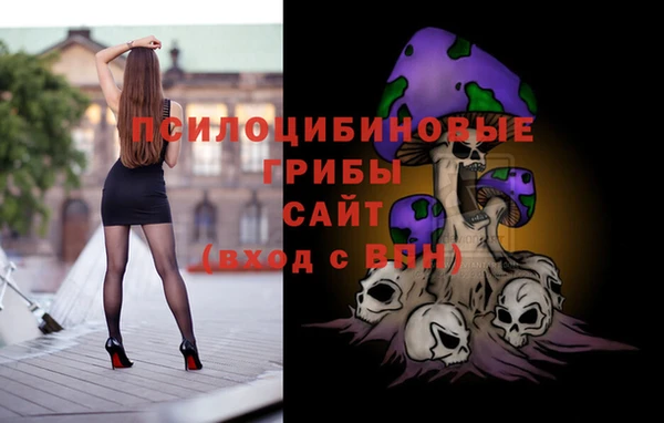 mdpv Невель