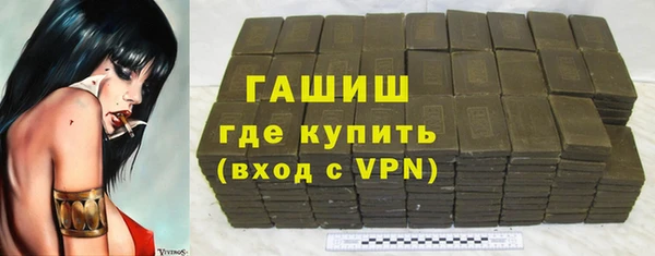 шишки Надым