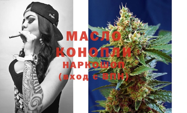 индика Михайлов