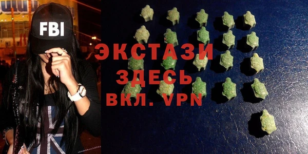 шишки Надым
