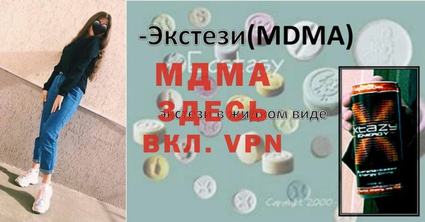 шишки Надым