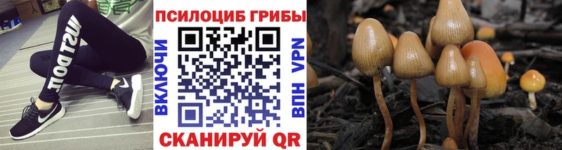 Псилоцибиновые грибы мухоморы наркота Пошехонье